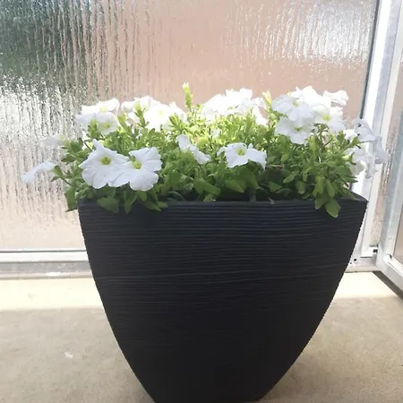 In Apartament Bad Schwartau